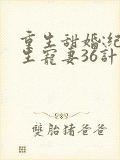 重生甜婚:纪先生宠妻36计小说