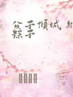 公子倾城 维和粽子