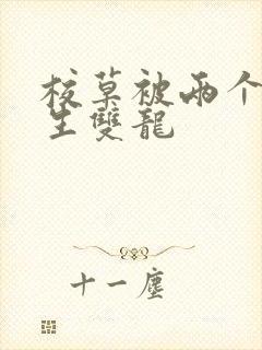 校草被两个体育生双龙