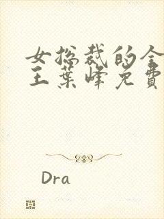 女总裁的全能兵王叶峰免费阅读