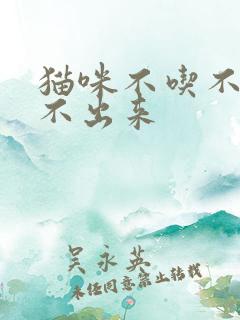 猫咪不吃不喝尿不出来