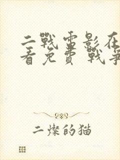 二战电影在线观看免费 战争片