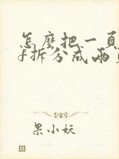 怎么把一页pdf拆分成两页