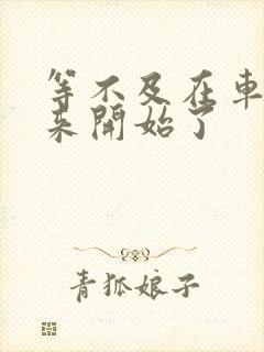 等不及在车里就来开始了