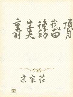 重生后我顶替了前夫的白月光