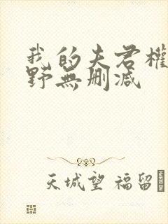 我的夫君权倾朝野无删减