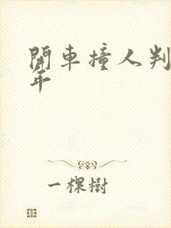 开车撞人判多少年