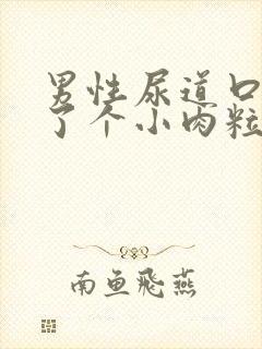 男性尿道口边长了个小肉粒