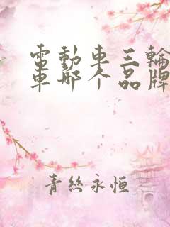 电动车三轮封闭车哪个品牌好