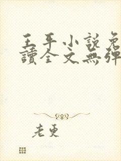 王平小说免费阅读全文无弹窗