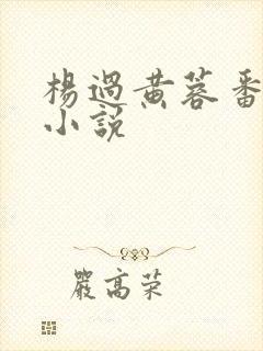 杨过黄蓉番外篇小说