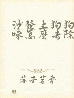 沙发上狗狗尿骚味怎么去除