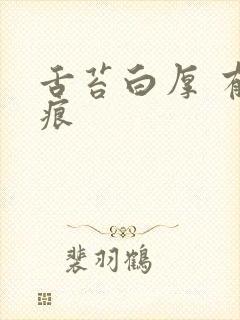 舌苔白厚 有齿痕