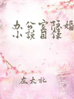 办公室隐婚轻黯小说目录