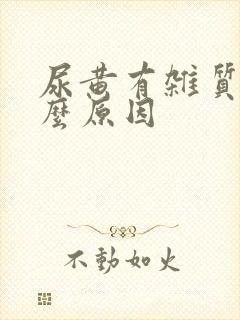 尿黄有杂质是什么原因