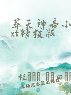 葬天神帝小说txt精校版