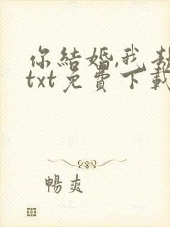 你结婚,我劫婚txt免费下载