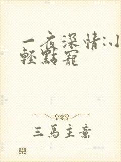 一夜深情:小叔轻点宠
