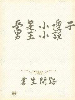 受是小傻子的双男主小说