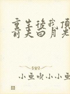 重生后我顶替了前夫白月光大结局章节