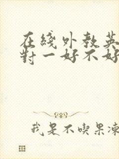 在线外教英语一对一好不好