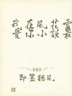 我在风花雪月里爱你小说最新章节