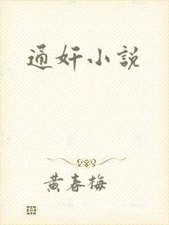 通奸小说