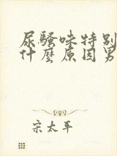 尿骚味特别重是什么原因男性