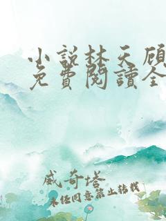 小说林天顾悦瑶免费阅读全文