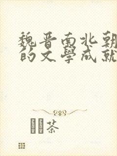 魏晋南北朝时期的文学成就