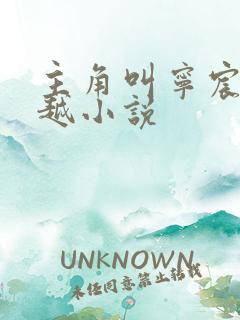 主角叫宁宸的穿越小说