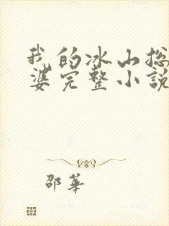 我的冰山总裁老婆完整小说