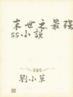 末世之最强boss小说