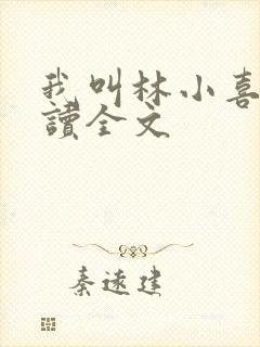 我叫林小喜全阅读全文