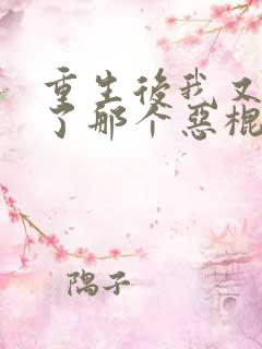 重生后我又嫁给了那个恶棍