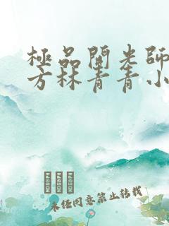 极品开光师李南方林青青小说免费阅读