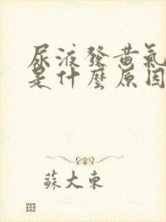 尿液发黄气味重是什么原因