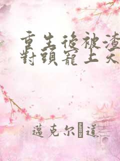 重生后被渣男死对头宠上天35