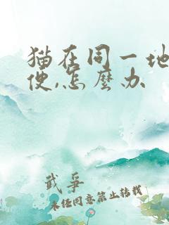 猫在同一地方小便,怎么办