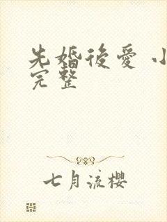 先婚后爱 小说完整