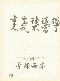 重生后这总裁夫人我不当了