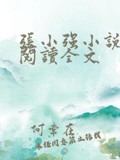 张小强小说免费阅读全文