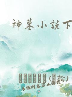 神墓小说下载