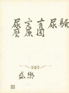 尿完有尿骚味什么原因