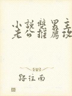 小说双男主虐文老公推荐攻略同人文