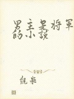 男主是将军姓萧的小说