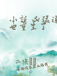 小说 凶猛道侣也重生了