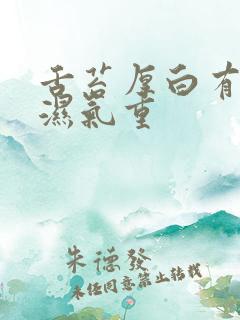 舌苔厚白有齿痕湿气重