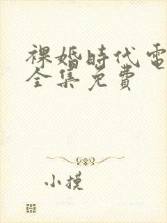 裸婚时代电视剧全集免费