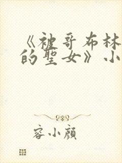 《被哥布林俘虏的圣女》小说